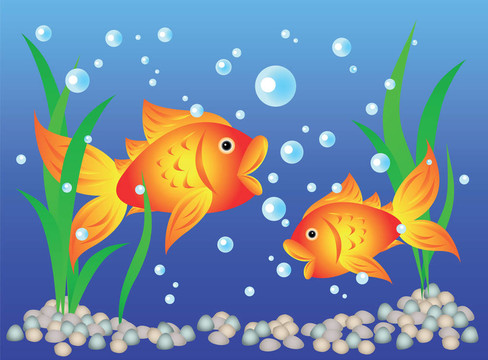 金魚在魚缸里