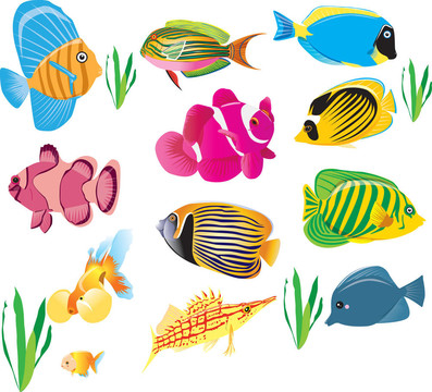 魚集