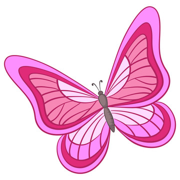 蝴蝶