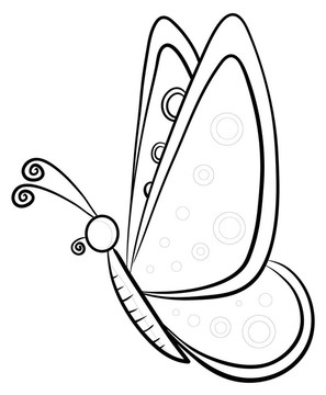 蝴蝶；輪廓