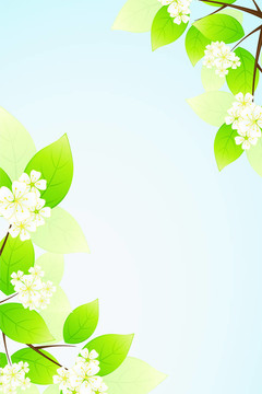 葉子和花