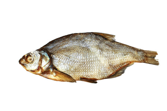 躺在白色背景的鳊魚的照片