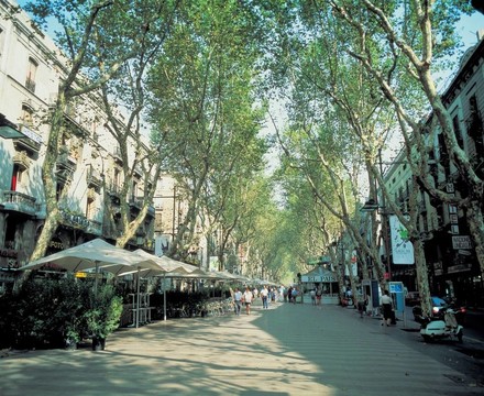 去西班牙旅行