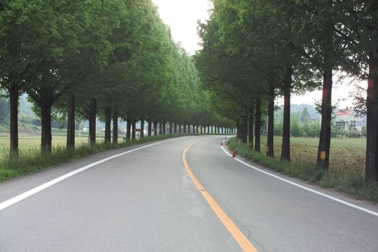 道路景觀