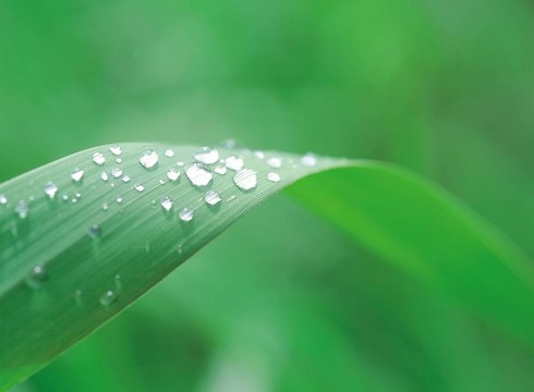 季節(jié)性的觀點
