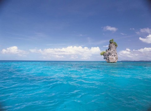 漂亮的海