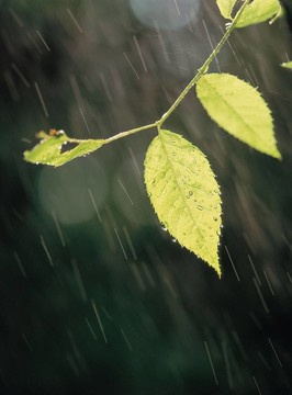 季節(jié)性的觀點(diǎn)