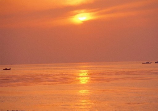 漂亮的海