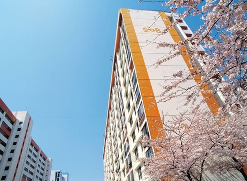 去漢城旅行