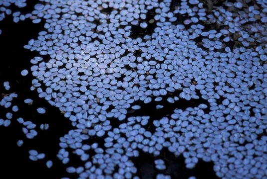 季節(jié)性的觀點