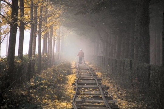 道路景觀