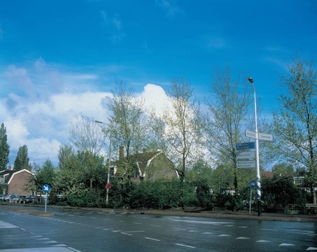 去荷蘭旅行
