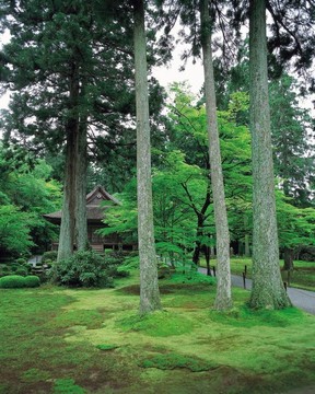 去日本旅行