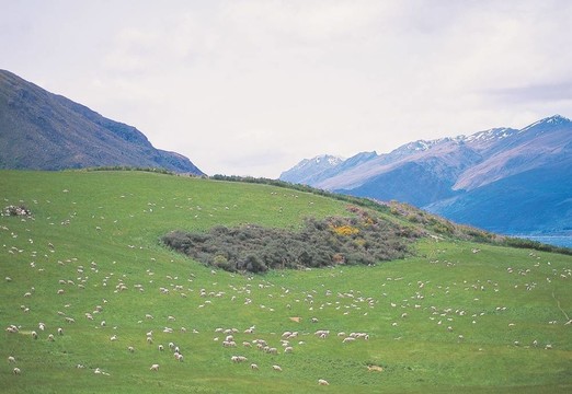 場(chǎng)景