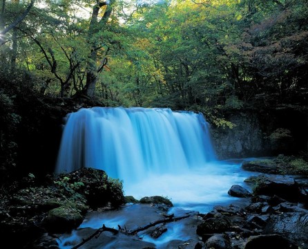 去日本旅行