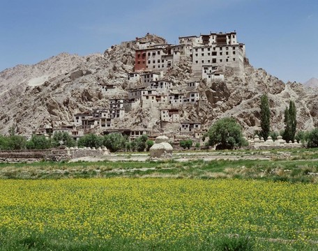 去尼泊爾旅行