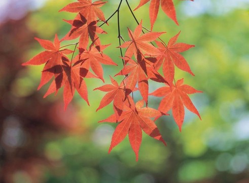 季節(jié)性的觀點(diǎn)