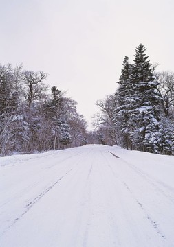 道路景觀