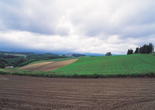 場(chǎng)景