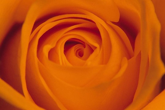 花意象