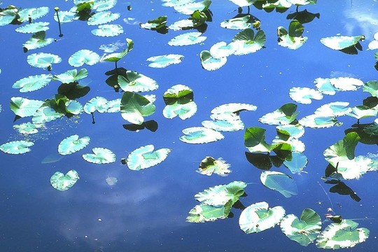 季節(jié)性的觀點(diǎn)