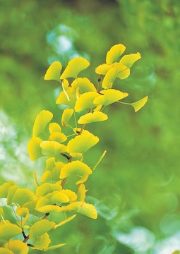 季節(jié)性的觀點