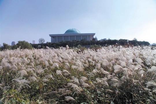 去漢城旅行