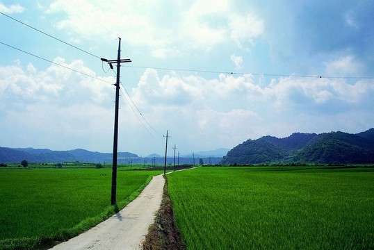 道路景觀