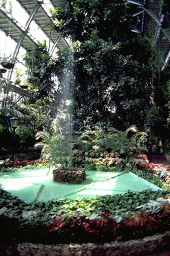 室內(nèi)設(shè)計(jì)