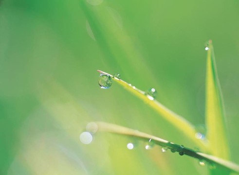 季節(jié)性的觀點