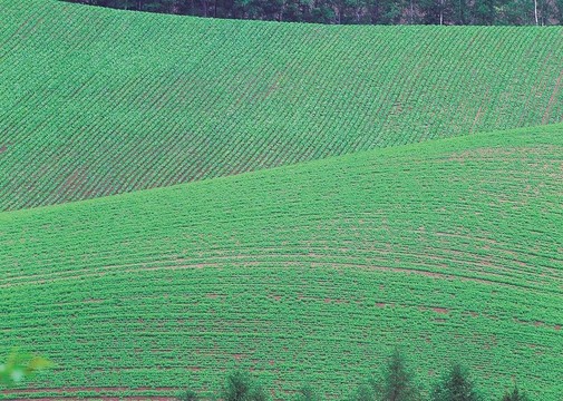 場(chǎng)景