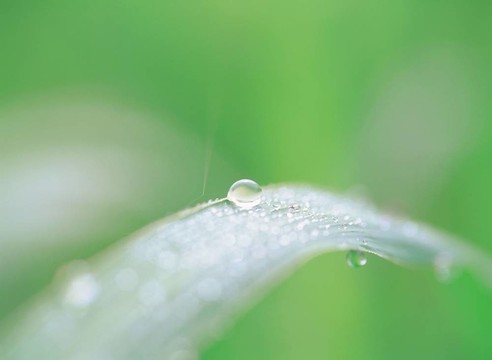 季節(jié)性的觀點(diǎn)