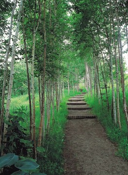 道路景觀(guān)