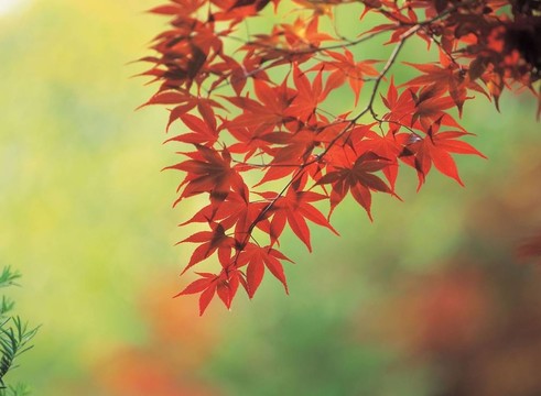 季節(jié)性的觀點(diǎn)