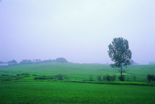 場景