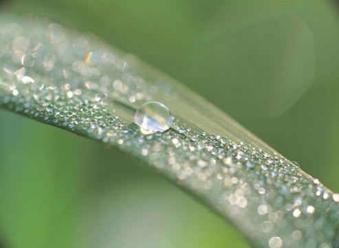 季節(jié)性的觀點(diǎn)