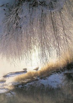 季節(jié)性的觀點(diǎn)