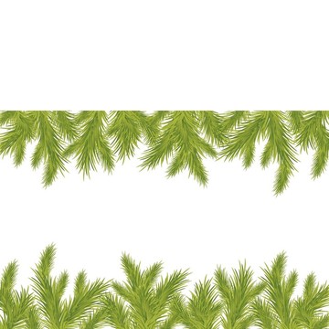 綠色圣誕樹的樹枝