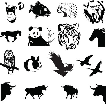 采集野生動物