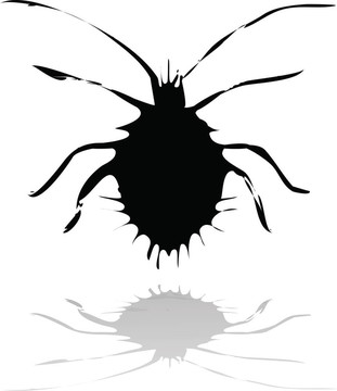 bug_1