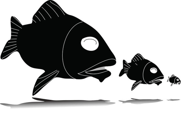魚吃魚