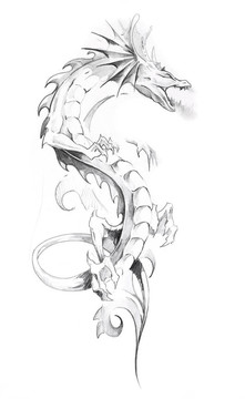紋身藝術(shù)素描；龍