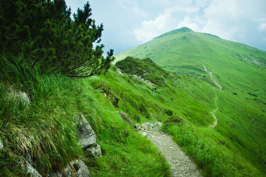 山上的小路