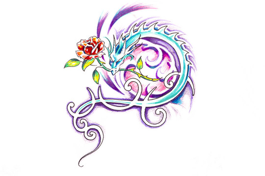 紋身藝術(shù)素描；龍與玫瑰