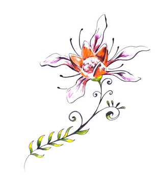 紋身藝術(shù)素描與部落設(shè)計之花