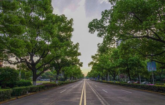 城市公路