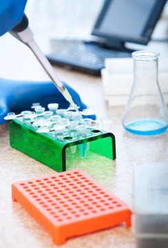 分子生物學