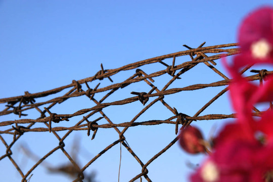 危險(xiǎn)的
