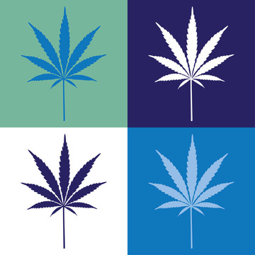 四大麻葉插圖