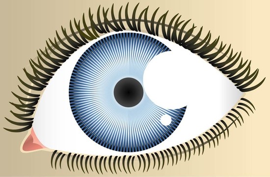 眼